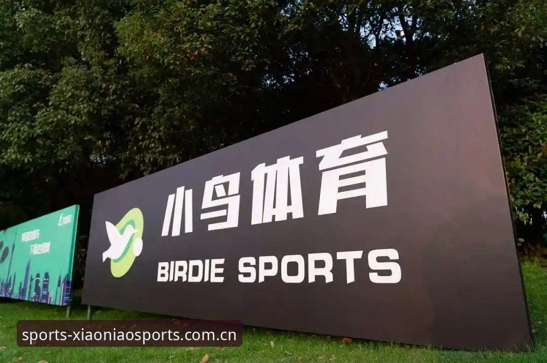 小鸟体育APP官网常见问题 小鸟体育APP官网常见问题深度解析:从注册到投注的全流程指南